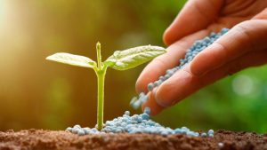 Acordo para pesquisa e eficiência de fertilizantes é assinado