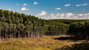 Plano Estadual vai traçar panoramas sobre preservação ambiental em áreas de produção