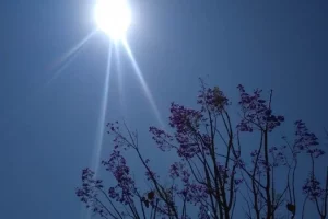 Previsão de tempo seco para os próximos dias no Paraná