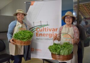 Dez famílias irão cultivar horta comunitária sob linha de energia em Londrina