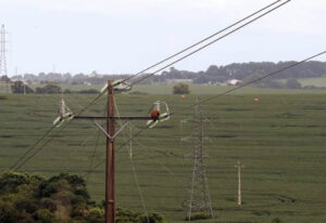 Medidas de segurança evitam acidentes com a rede elétrica no meio rural