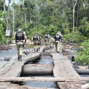 Em operação, Polícia Federal identifica dano ambiental com prejuízo de mais de R$ 500 mil