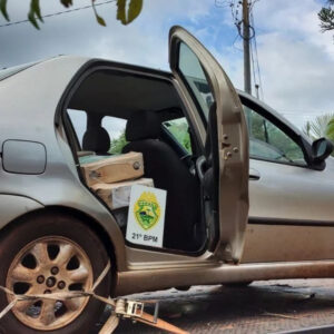 Carne de frango que vinha da Argentina é apreendida pela PM