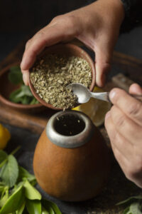 Recurso incentiva produção de erva-mate no Rio Grande do Sul