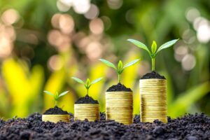 Liberação do crédito rural para agricultores alcança R$ 267 bilhões em nove meses