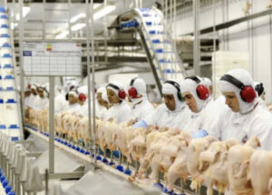 Exportações brasileiras de carne de frango alcançam 514,6 mil toneladas em março