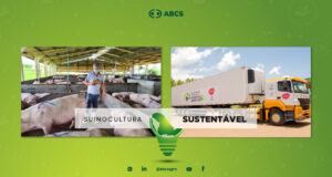 Suinocultura sustentável: confira as ações executadas na produção de suínos