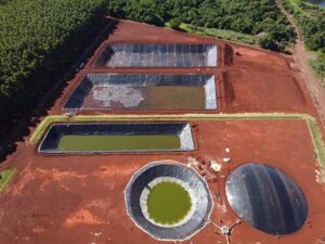 Biogás e Biometano entram em foco durante evento no Oeste do Paraná