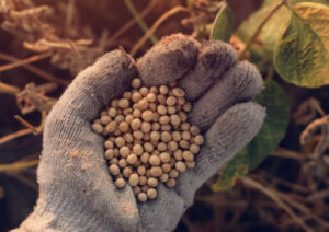 Primeiro Fórum Soja Baixo Carbono será realizado na ExpoLondrina