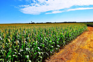 Em Brasília, comitiva do Paraná defende recursos para investimentos no campo