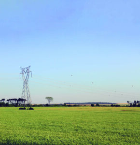 Medidas de segurança evitam acidentes com a rede elétrica no meio rural