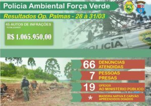 Mais de 60 denúncias de crimes ambientais foram atendidas em março de 2023