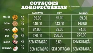 cotações