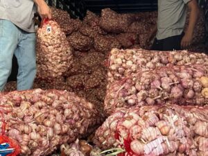 Receita Federal apreende cerca de 25 toneladas de alho e cebola