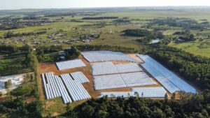 Como a maior cooperativa da América Latina solucionou o problema de armazenagem de grãos?