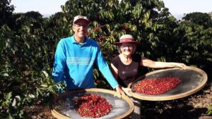 Cooperativa de café expande atendimento para mercado internacional
