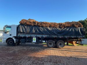 Caminhão carregado com fumo é apreendido em Santo Antônio do Sudoeste