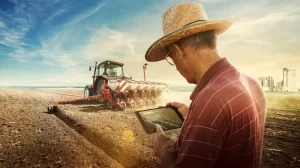 Preços ao produtor agropecuário iniciam ano em queda