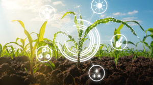 Sistema CNA/Senar inicia ações do projeto Campo Futuro
