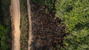 Desmatamento na Amazônia triplica em março