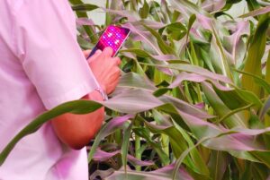 Lançado projeto de agricultura digital focado em pequenos e médios produtores