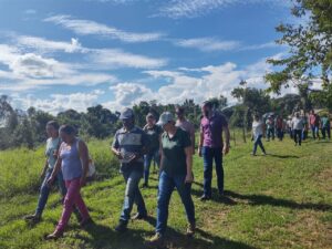 Valorização de sistema agroecológico de erva-mate é tema de debate no PR