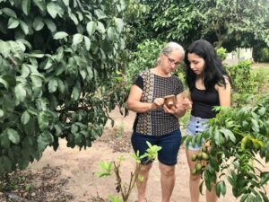 Pesquisa avalia espécies que compõe quintais agroflorestais