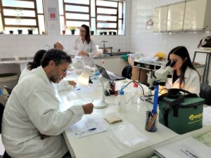 Análise de sementes é tema de curso na Embrapa Pecuária Sul