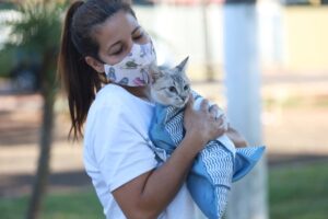 Programa Castrapet Paraná chegará a nove cidades em maio