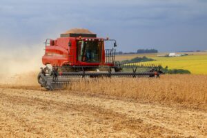 Colheita da soja está com produtividade acima da expectativa inicial
