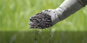 Entregas de fertilizantes cresceram 6% em janeiro