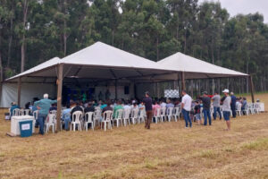 Produtores de mandioca participam de primeiro encontro regional no PR