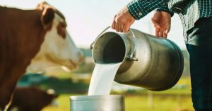Paraná produz mais de 4 bilhões de litros de leite por ano