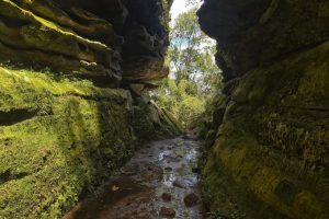 Mapa com Unidades de Conservação vai alavancar turismo ambiental no PR