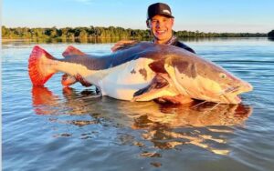 Empresário quebra recorde mundial após pescar pirarara de mais de 70kg