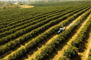 Paraná apresenta plano de agricultura de baixa emissão de carbono
