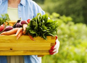 Produção agroecológica em Curitiba e Litoral ganha impulso com encontro em estação de pesquisa