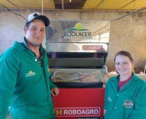Tecnologia permite que suinocultores familiares permaneçam no campo