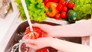 Semana de Integração Tecnológica debate Biotecnologia e Segurança Alimentar
