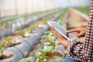 Transformação digital é oportunidade de carreira no setor do agronegócio