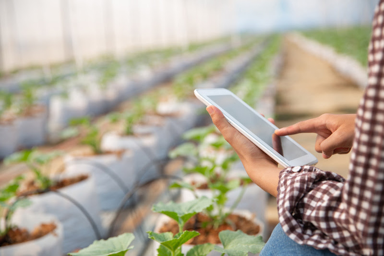 Transformação Digital é Oportunidade De Carreira No Setor Do Agronegócio Sou Agro 4287