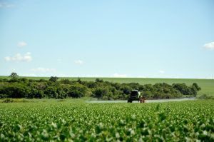Doenças motivam 30% das perdas na produção de alimentos