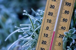 Frio pode gerar prejuízos nas lavouras paranaenses