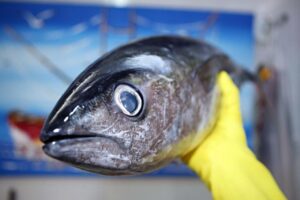 Saúde orienta sobre cuidado ao escolher o pescado neste período de muito consumo