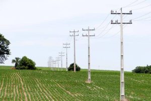 Ação promove a sustentabilidade na geração de energia para o meio rural
