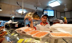 Contaminação de mercúrio em peixes gera preocupação