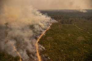 Amazônia tem alta de 65% na área queimada de janeiro a abril