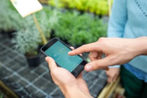 Setor agroalimentar aposta na inovação tecnológica