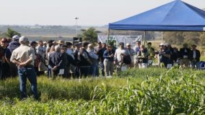 De olho na sustentabilidade: capacitação de produtores visa uma pecuária com baixa emissão de carbono