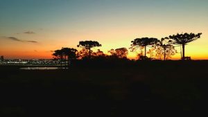 Fim de semana segue com temperaturas baixas no Paraná
